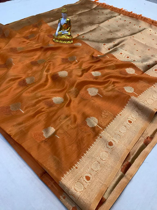 Brown color organza silk saree for wedding