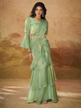 Light green organza saree for women
