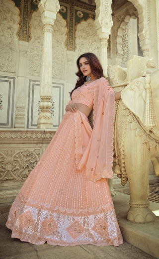 Peach colour Lehenga combination