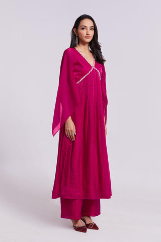 Fancy Rani Pink Gown