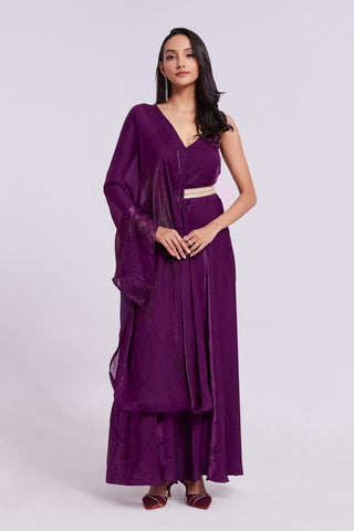 Beautiful Wine Gown With Party Wear