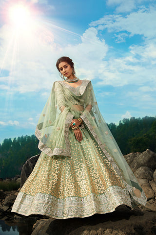 Pista Soft Net Lehenga Choli