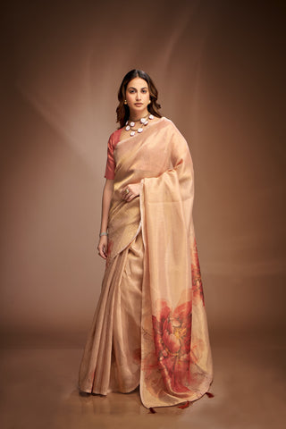 Light brown color tissue saree for women
