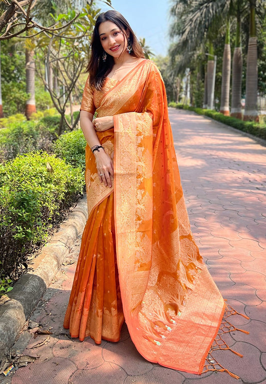 Orange color organza saree for women with price
