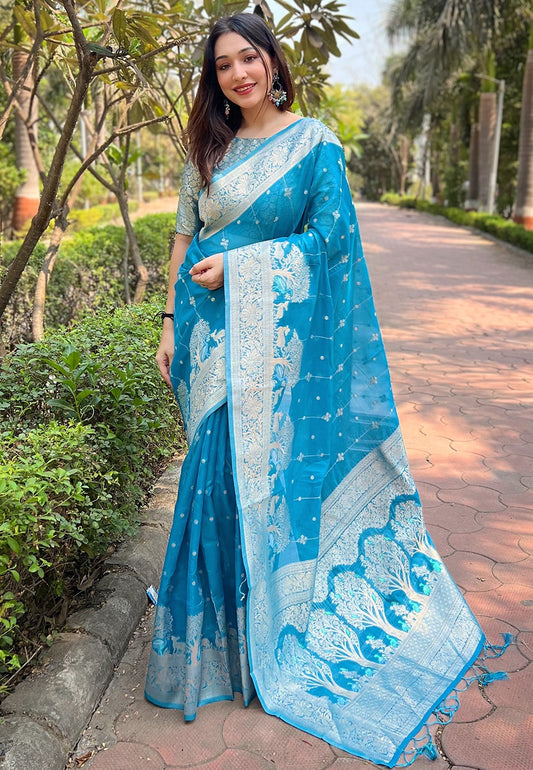 Sky color organza saree for women with price
