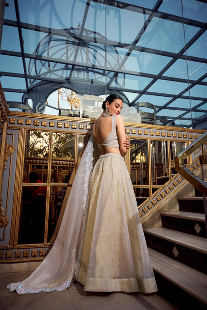 Cream color gold crush lehenga choli with dupatta 