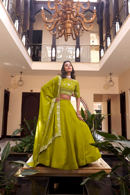 Parrot color georgette lehenga choli with dupatta price