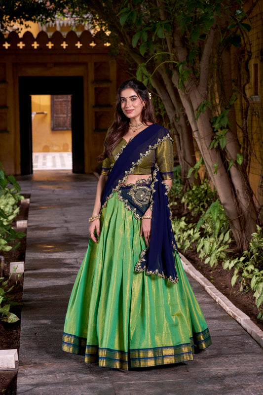 Navy blue embroidery work ghagra choli with dupatta