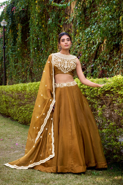 Bronze Color Sequins Work Chaniya Choli for Wedding