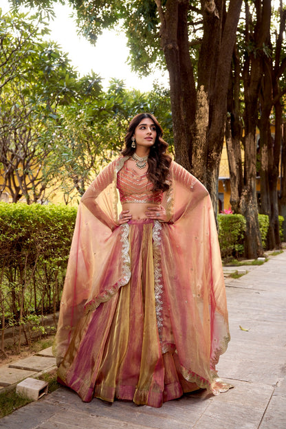 Pink Color Party Wear Designer Lehenga Choli Set