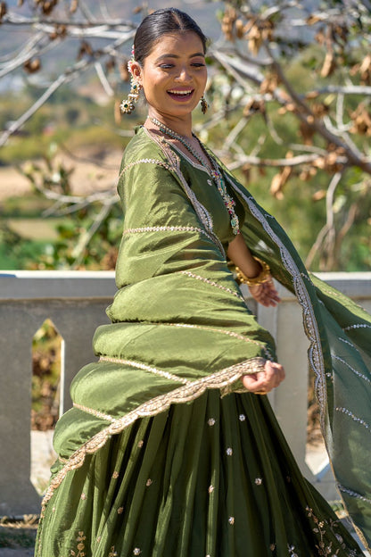 Mehendi color chinon lehenga choli images
