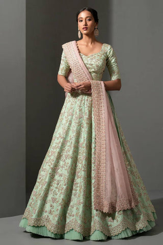 Pista color heavy lehenga choli