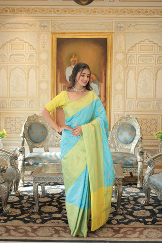 Pure Silk sarees