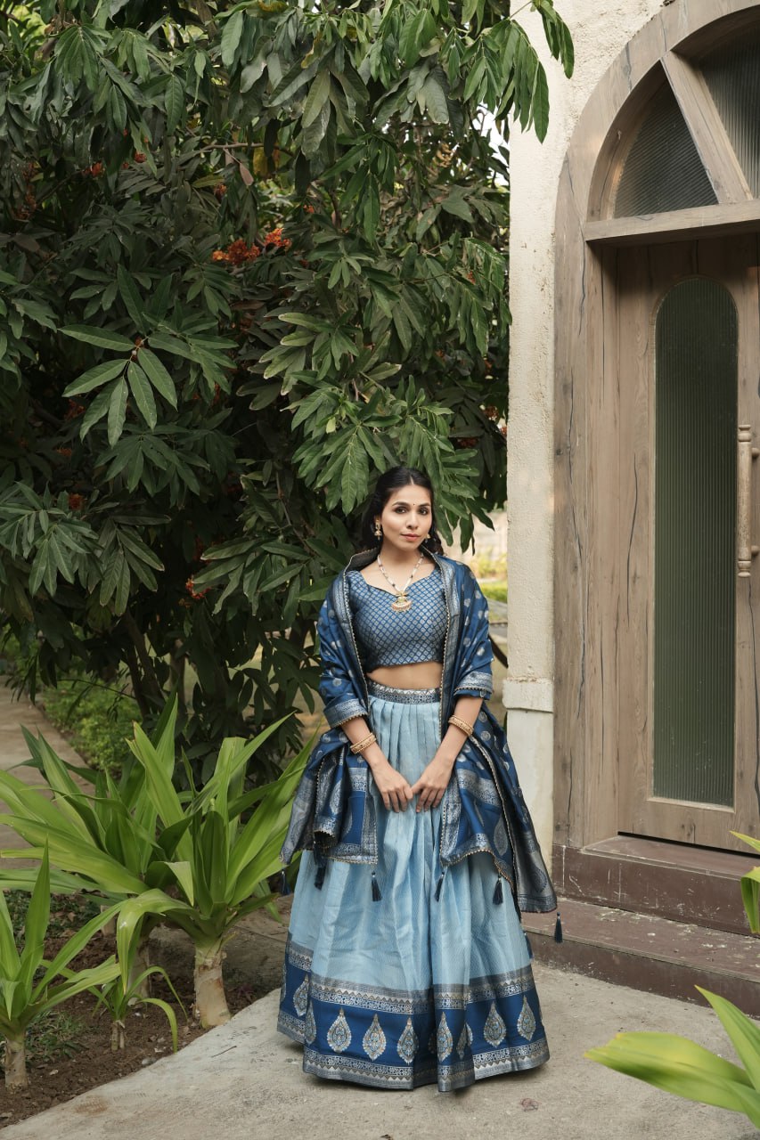 South Indian Sky Blue Kanchipuram Silk Party Lehenga Choli