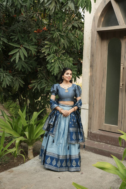 South Indian Sky Blue Kanchipuram Silk Party Lehenga Choli