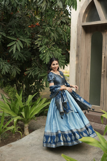 South Indian Sky Blue Kanchipuram Silk Party Lehenga Choli