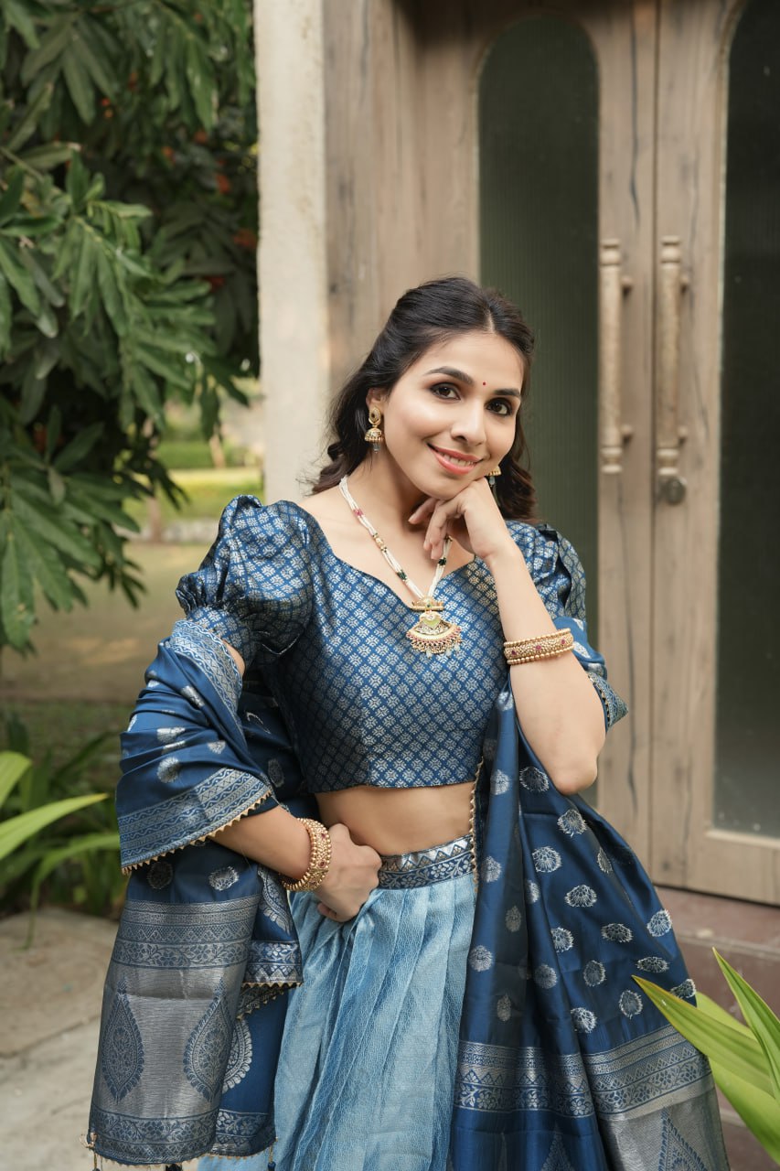 South Indian Sky Blue Kanchipuram Silk Party Lehenga Choli